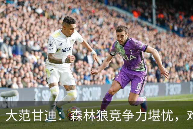 大范甘迪：森林狼竞争力堪忧，难以匹敌掘金和火箭